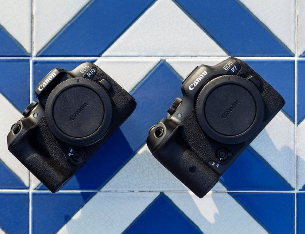 Rejoice! Mirrorless Cameras Not Endangered Anymore